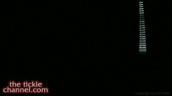 Captura de 'Tickle Channel 2013 Vol. 5, The
							
								
									- On Sale! 
									
										December Kickoff Sale' nº 47