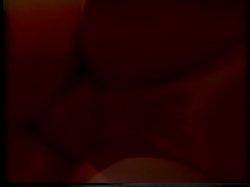 Captura de 'The XXX Files' nº 25