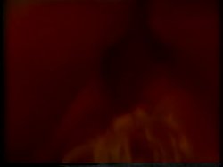 Captura de 'The XXX Files' nº 77