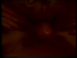 Captura de 'The XXX Files' nº 96