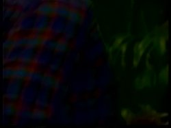 Captura de 'The XXX Files' nº 101