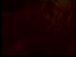 Captura de 'The XXX Files' nº 111