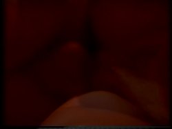 Captura de 'The XXX Files' nº 23
