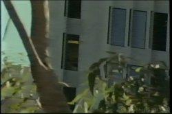 'Rock Hard Triple Feature' screenshot nº 67