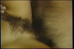 'Wet Science' screenshot nº 21