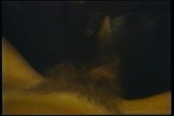 'Wet Science' screenshot nº 36