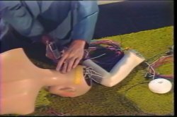 'Wet Science' screenshot nº 98