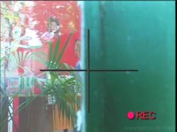 Captura de 'Video Adventures Of Peeping Tom 37' nº 53