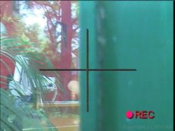 Captura de 'Video Adventures Of Peeping Tom 37' nº 56