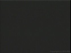 Captura de 'Video Adventures Of Peeping Tom 37' nº 117