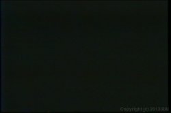 'Bat Bitch Triple Feature' screenshot nº 95