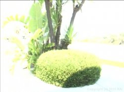 'Real Sex Magazine 64' screenshot nº 117