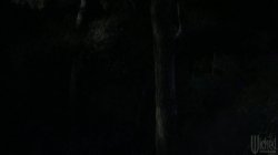 Captura de 'Camp Cuddly Pines Powertool Massacre' nº 18