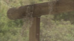 Captura de 'Camp Cuddly Pines Powertool Massacre' nº 54