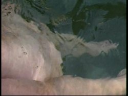 Captura de 'Chinatown 2' nº 121
