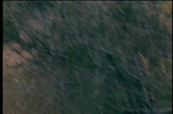 'Bobby Sox' screenshot nº 5