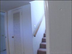 Captura de 'Black and Nasty 5' nº 4