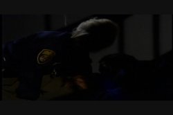 Captura de 'Bad Girls 8 - Prisoners of Love' nº 132