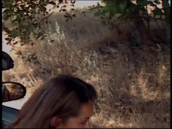 Captura de 'Short Chicks on Big Dicks' nº 36