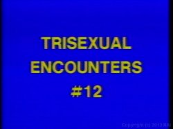 Captura de 'Trisexual Encounters 12' nº 1