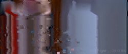 Captura de 'House Pets' nº 35