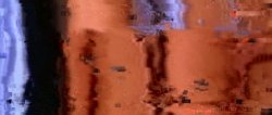 Captura de 'House Pets' nº 53