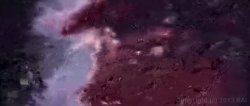 Captura de 'House Pets' nº 136