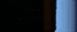 Captura de 'House Pets' nº 20