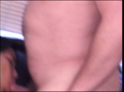 'Porn o' Plenty 6' screenshot nº 15