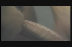 Captura de 'Tri-Sexual Encounters 10' nº 128