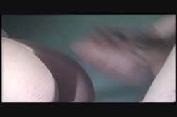 'Trisexual Encounters 9' screenshot nº 33