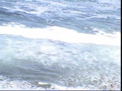 Captura de 'Word Man Does The Beach' nº 17
