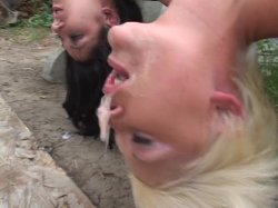 'Gag Factor 12' screenshot nº 87