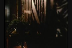 'Alexandra' screenshot nº 3
