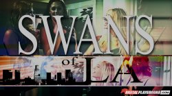 'Swans Of L.A.: Season One' screenshot nº 18