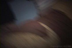 'Frat House Fuckfest 3' screenshot nº 26