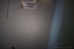 'Frat House Fuckfest 3' screenshot nº 99