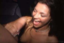 'Frat House Fuckfest 3' screenshot nº 104