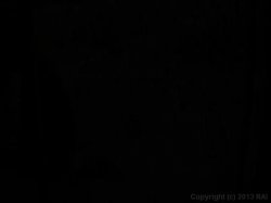 'Black MILF Ass Fuckers' screenshot nº 53