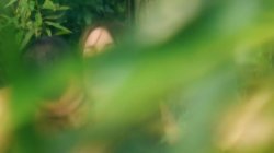 'Sinfully Yours' screenshot nº 99
