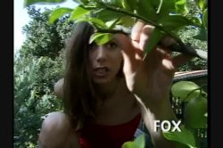 'Pornological 4' screenshot nº 74