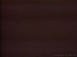 Captura de 'Candy Samples' Porn Players' nº 135