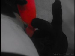 'Shock' screenshot nº 6