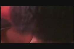 Captura de 'Young Bonzai Bunz' nº 35