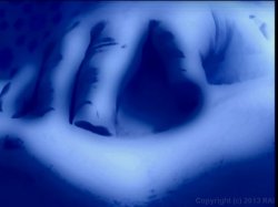 Captura de 'Playgirl: Bodies in Heat' nº 4