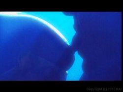 Captura de 'Playgirl: Bodies in Heat' nº 82