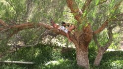 'Pornstar Perversions 2' screenshot nº 23