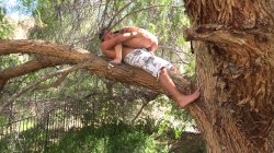 'Pornstar Perversions 2' screenshot nº 27