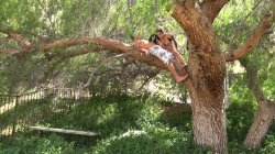 'Pornstar Perversions 2' screenshot nº 29