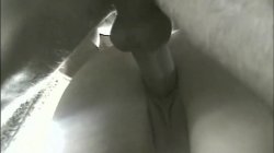 'Dirty Nasty Anal Sluts 9' screenshot nº 53
